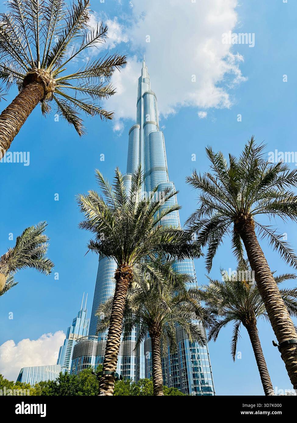 Buildings Dubai Burj Park with trees - Smartphone Captured Stock Image