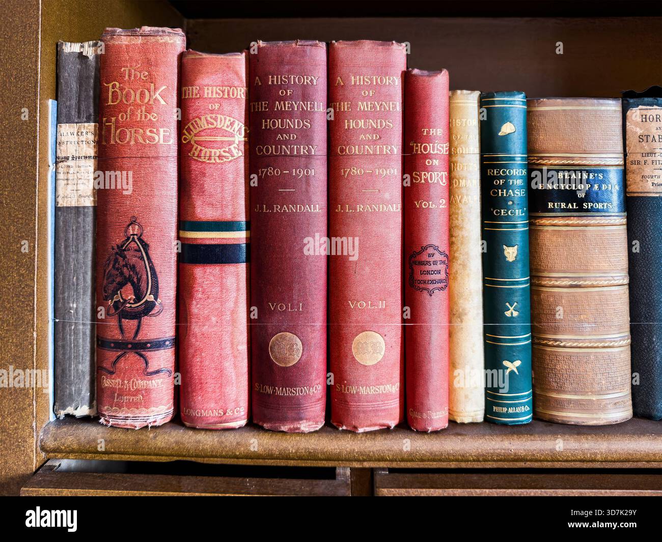 Close-up of a row of vintage books on equestrianism, hunting, and rural sports neatly arranged on a wooden bookshelf Stock Photo