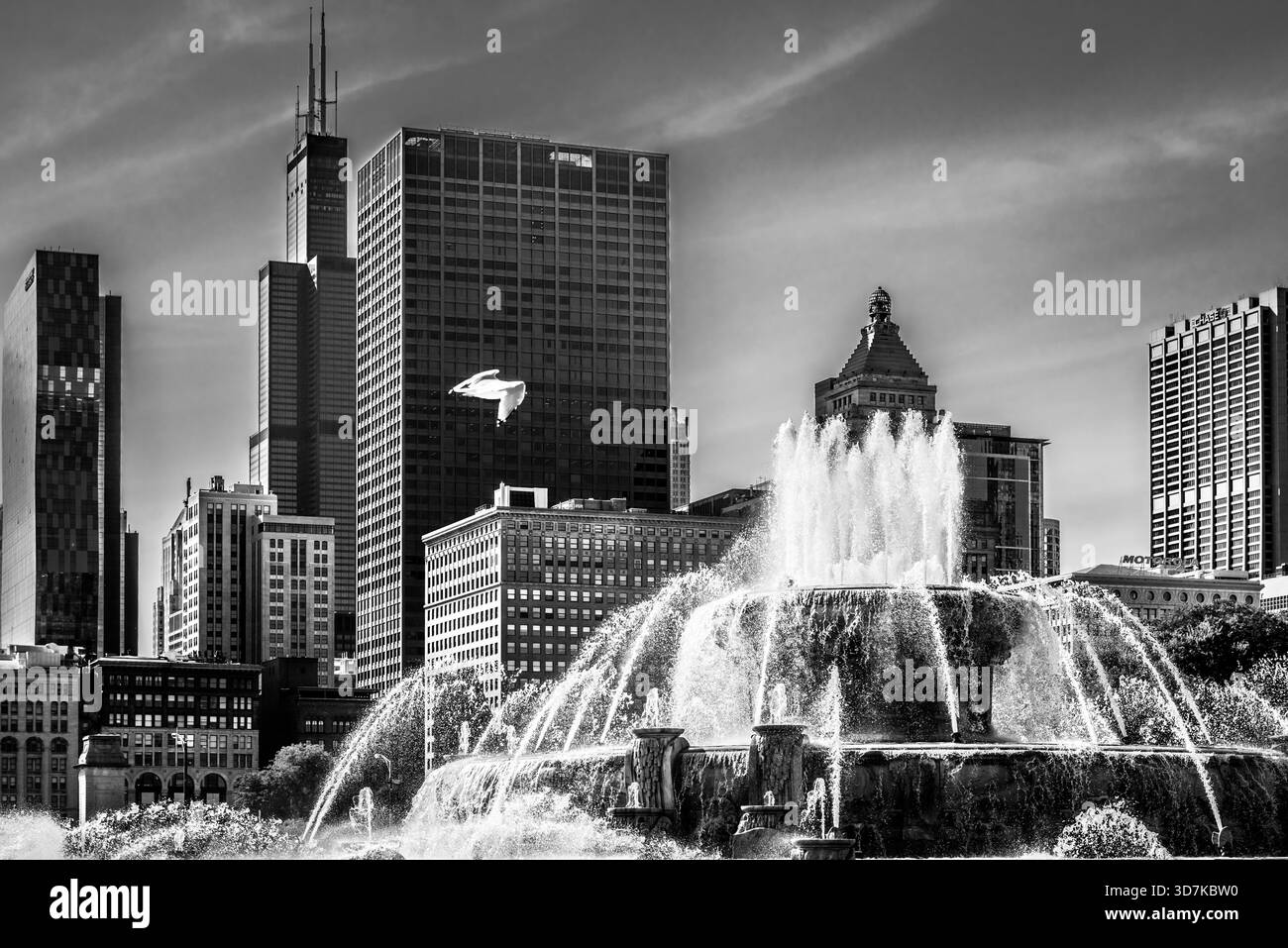Chicago buckingham Black and White Stock Photos & Images - Alamy