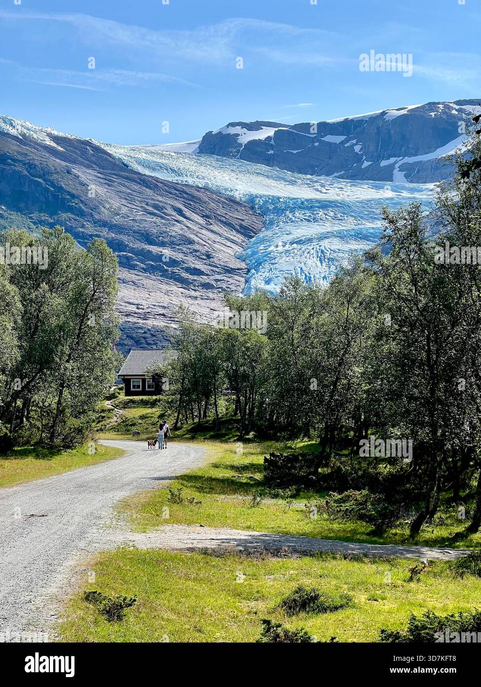 Hikers with a dog walking on a gravel path towards the Svartisen glacier tongue in Nordland, Northern Norway - Smartphone Captured Stock Image