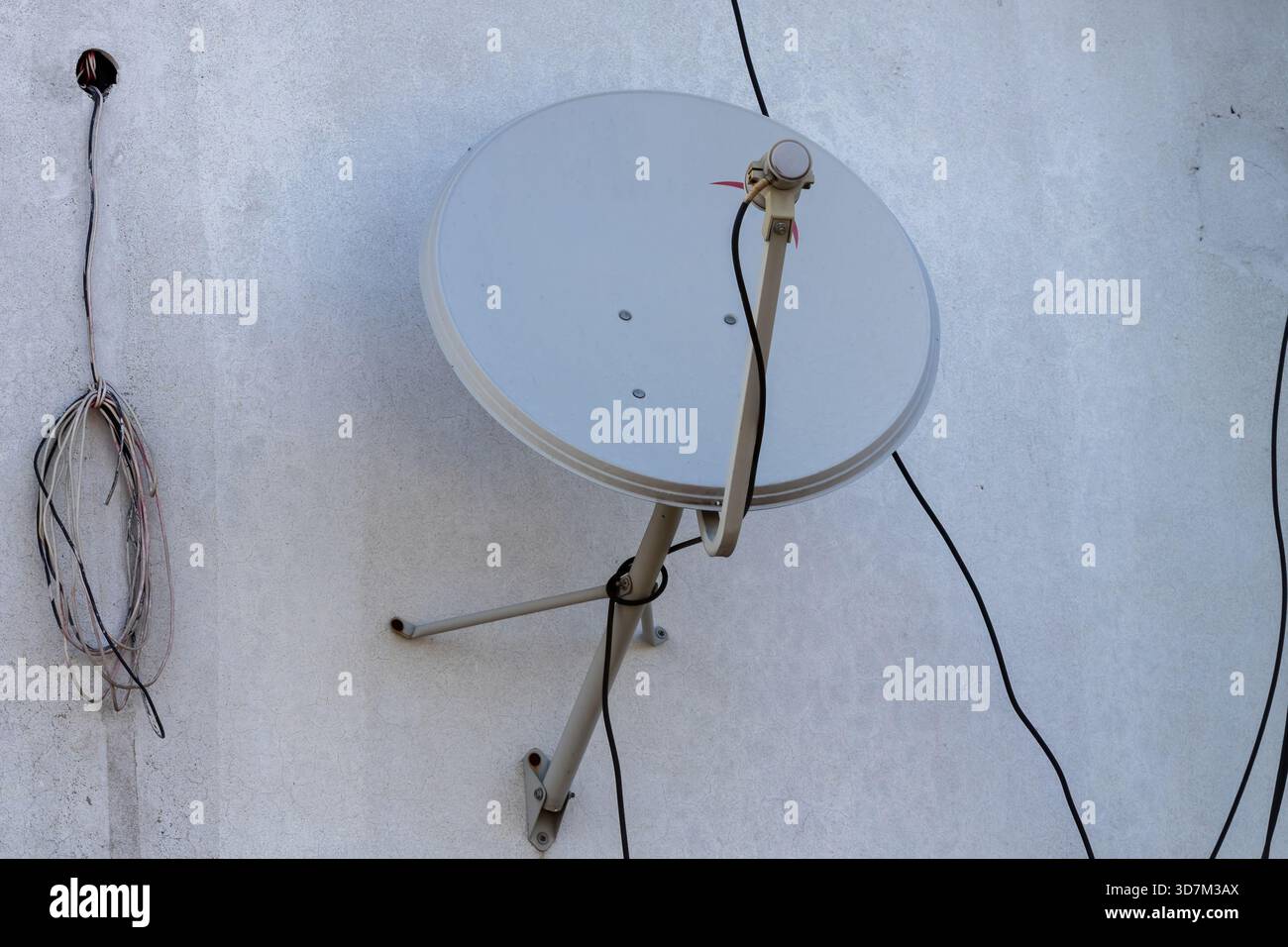 Karolina Protsenko's Captivating Violin Performance, image size:1300x956