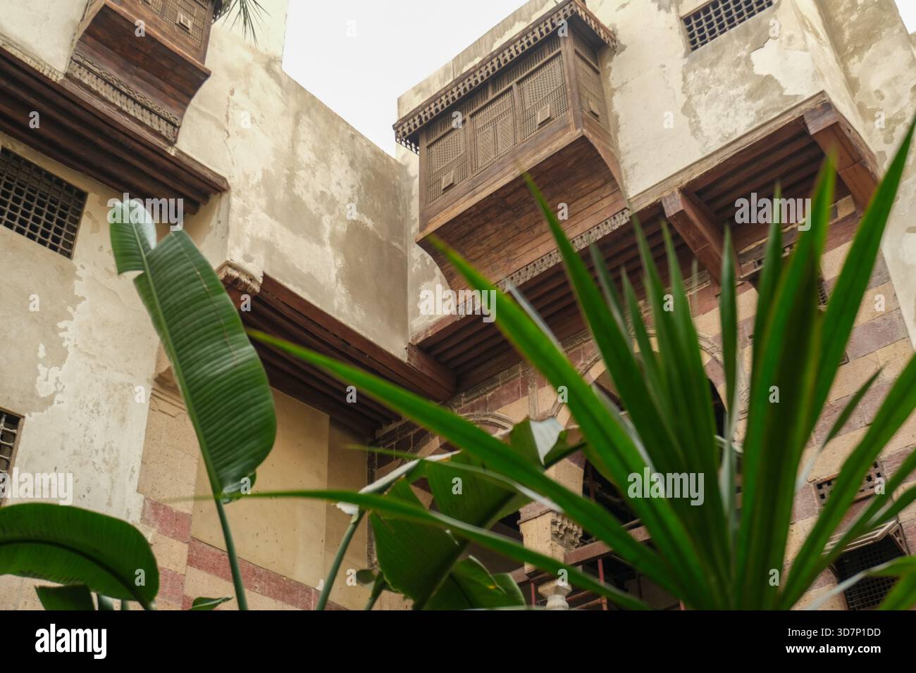 Traditional Arabesque woodwork mashrabiyyas and palm trees inside ...