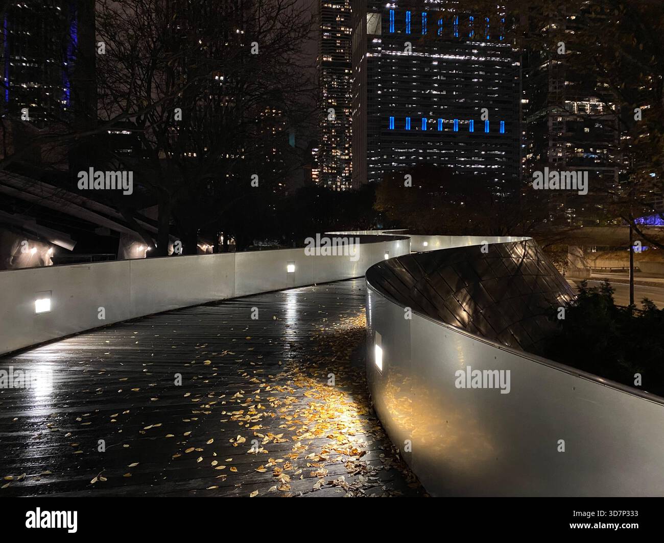 Nighttime view of a curved pedestrian walkway in a city park, illuminated by soft lights reflecting on the wet pavement. - Smartphone Captured Stock Image