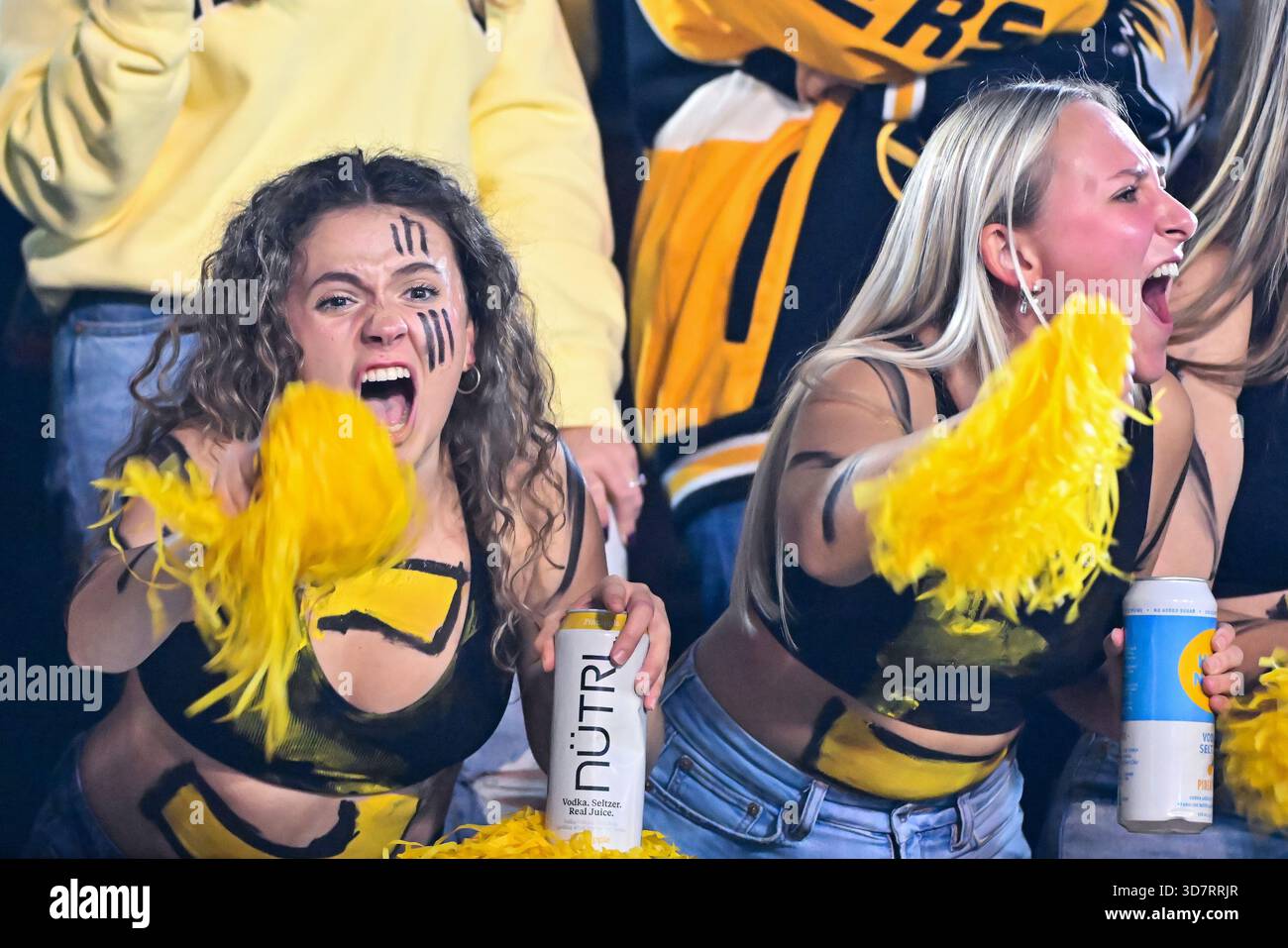 COLUMBIA, MO - NOVEMBER 15: Members of the Missouri student section ...