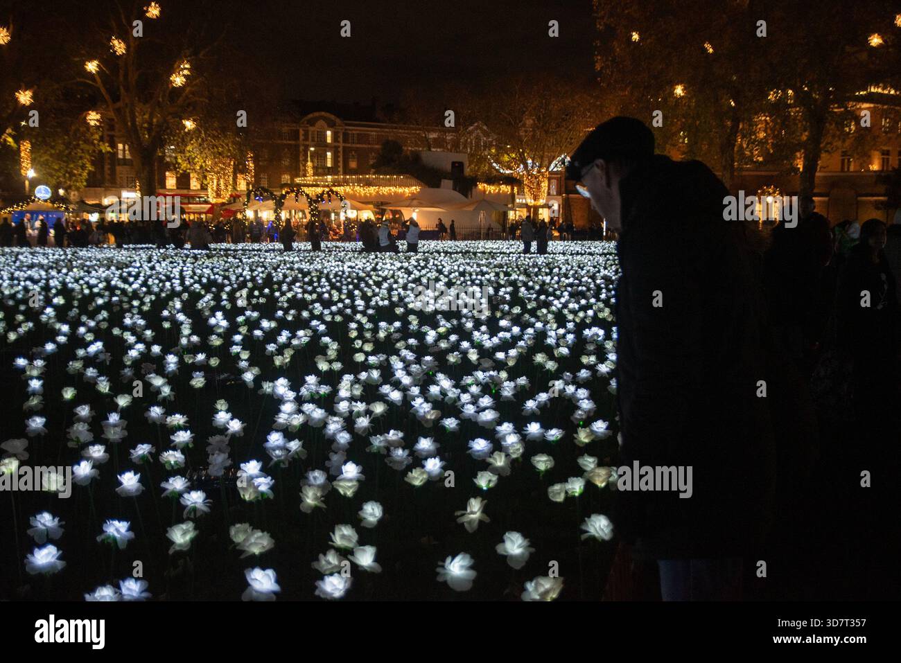 A visitor take a look at the roses at the Duke of York Square in London ...
