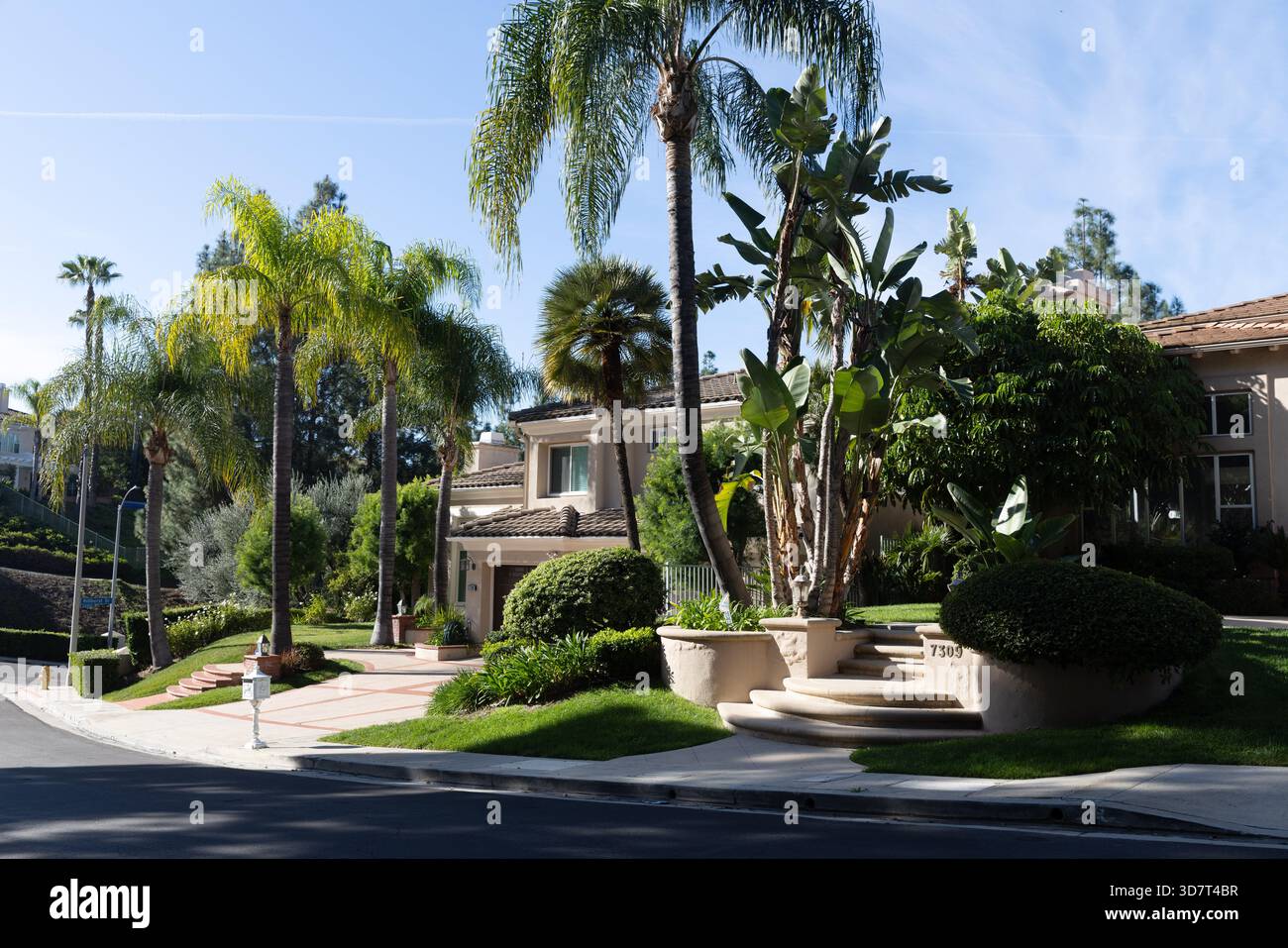 Tropical landscaping around luxury suburban home in Chatsworth, California Stock Photo