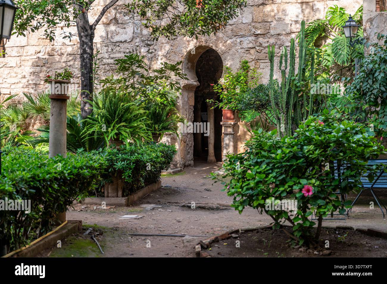 Palma de Mallorca, Baños Arabes, Arab Baths, Banys Arabs, gardens of the Arab Baths, Stock Photo