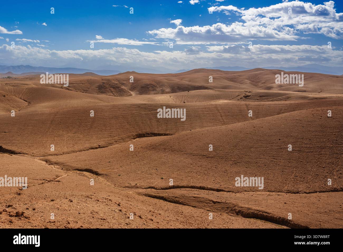 Expansive desert landscape with rolling sand dunes under a blue sky and ...