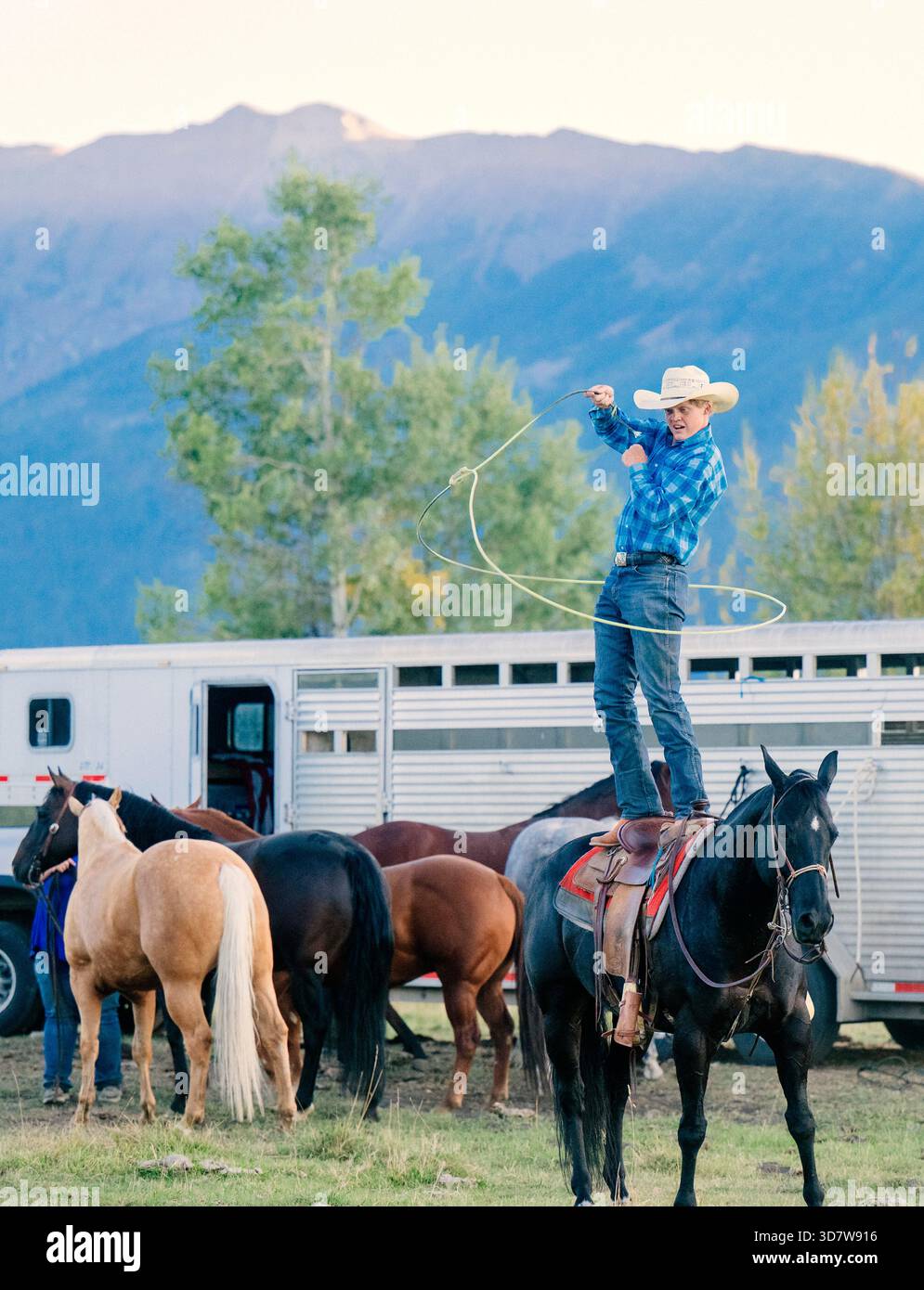 Twirl Rope Cowboy standing on horseback twirling rope, surrounded by horses and ...