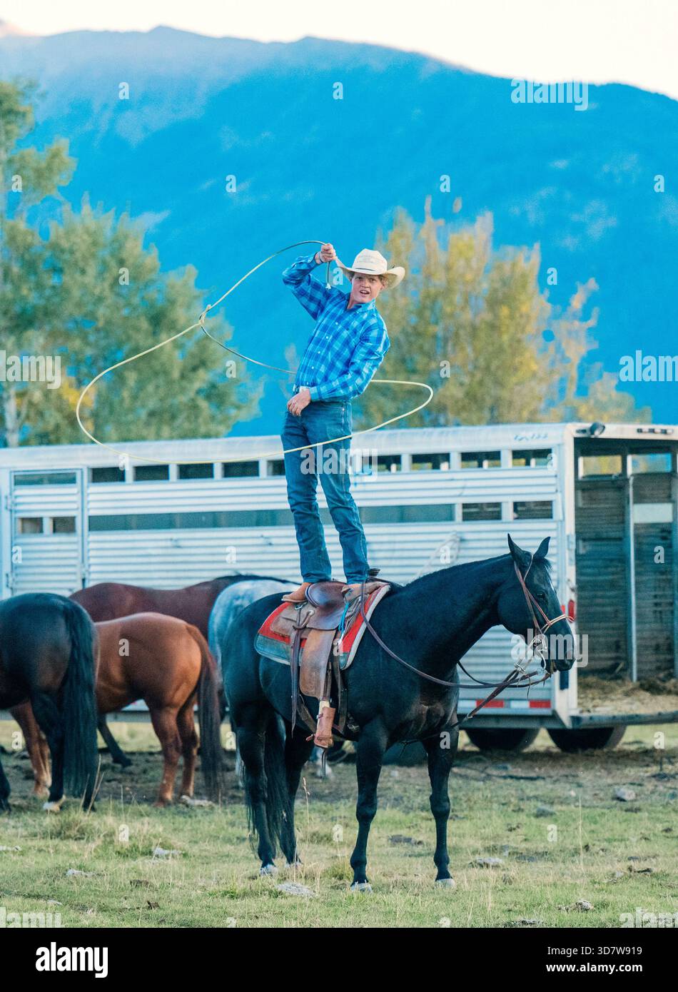 Twirl Rope Cowboy standing on horseback twirling rope, surrounded by horses and ...