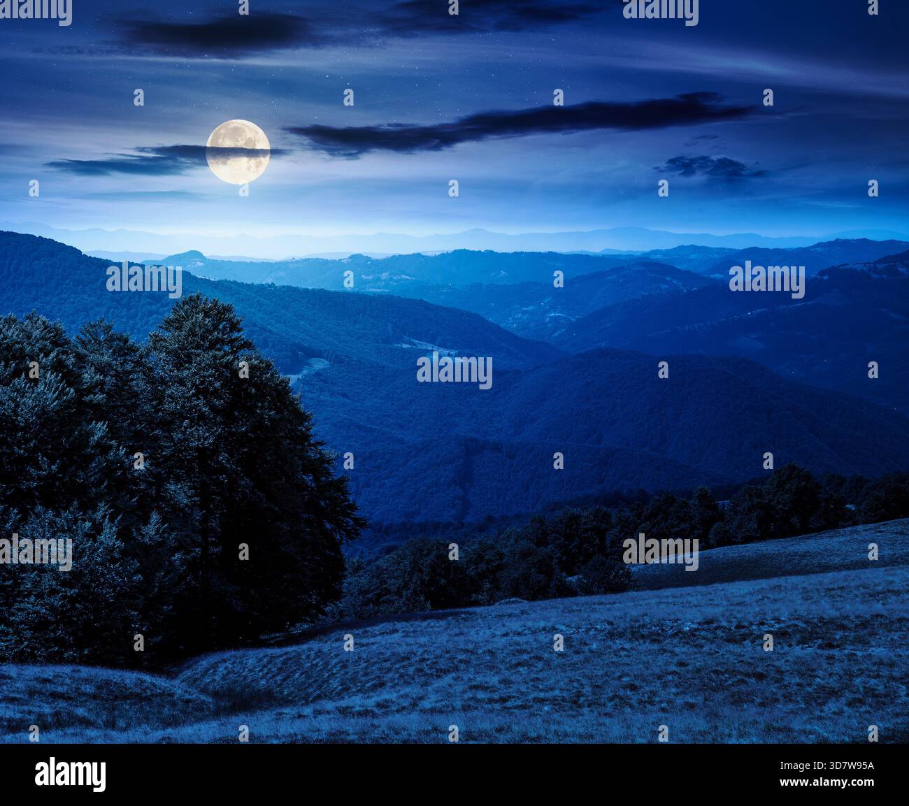 beautiful mountain landscape with beech trees on rolling hills at night. mysterious view of alpine countryside scenery in full moon light. backdrop fo Stock Photo