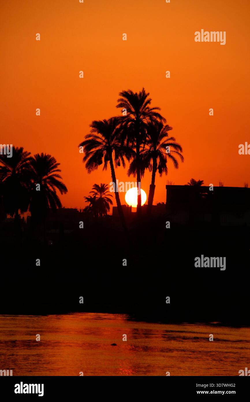 Egyptian desert landscape palms hi-res stock photography and images - Alamy