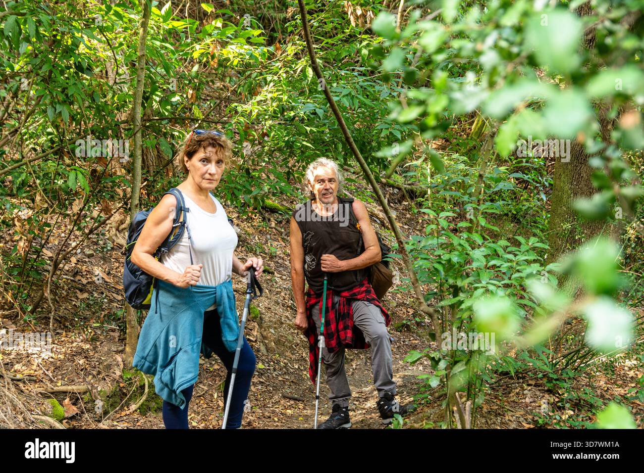 Senior couple enjoying nature while hiking in forest Stock Photo