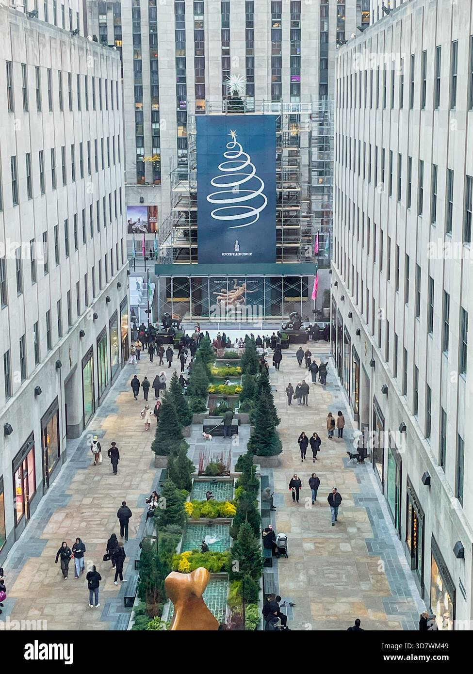 The iconic Rockefeller Center Christmas tree undergoes decorating under scaffolding for unveiling after Thanksgiving, 2025, New York City, USA - Smartphone Captured Stock Image