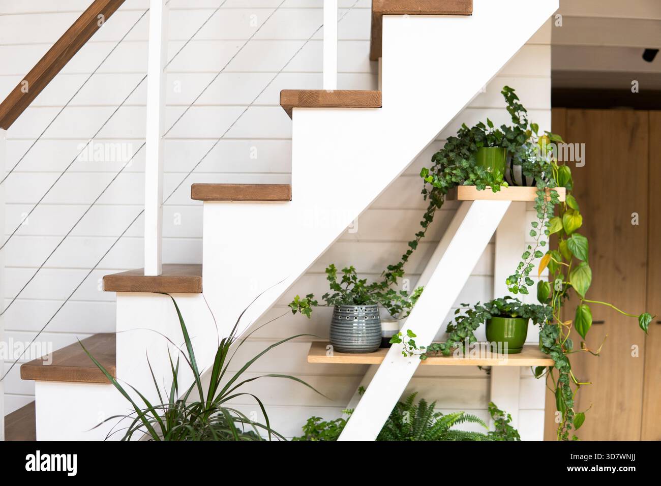 Modern wooden staircase with green indoor plants in stylish home ...