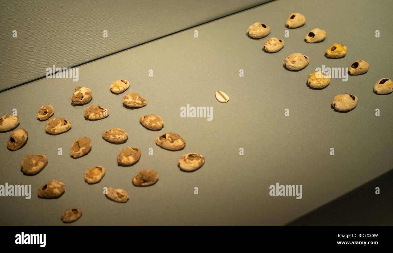 Seashell. Excavated from the Liulihe site in Beijing. Western Zhou Period (1046 BCE - 771 BCE) Stock Photo
