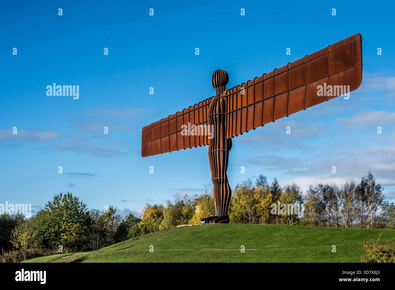 The image is of the amazing Gateshead, Angel of the North, 20metre high ...