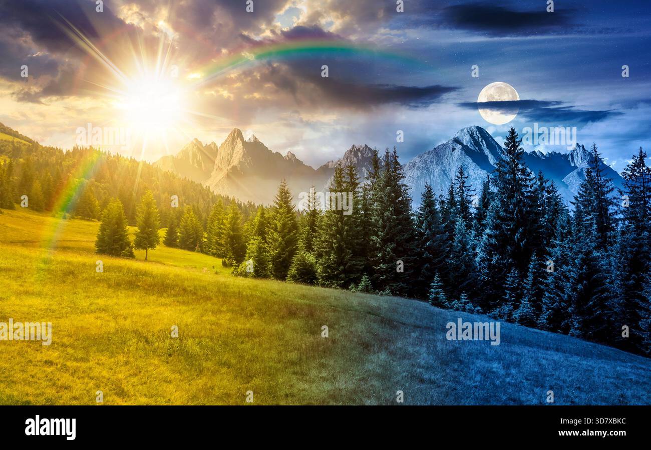 spruce forest on grassy slope at night. composite landscape with High Tatra mountains in the distance in full moon light. beautiful summer scenery. ba Stock Photo