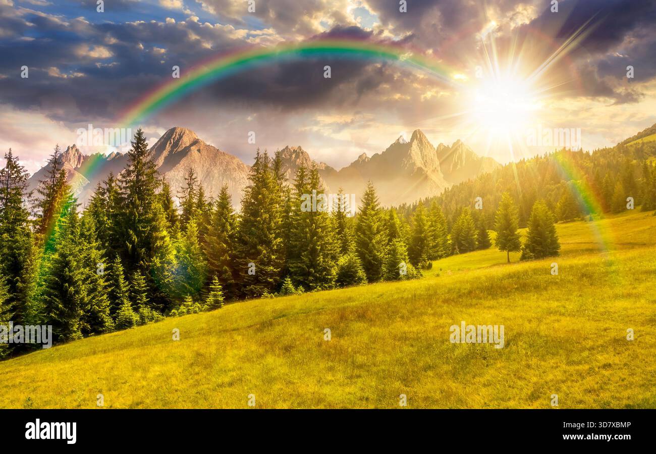 spruce forest on grassy slope at night. composite landscape with High Tatra mountains in the distance in full moon light. beautiful summer scenery. ba Stock Photo