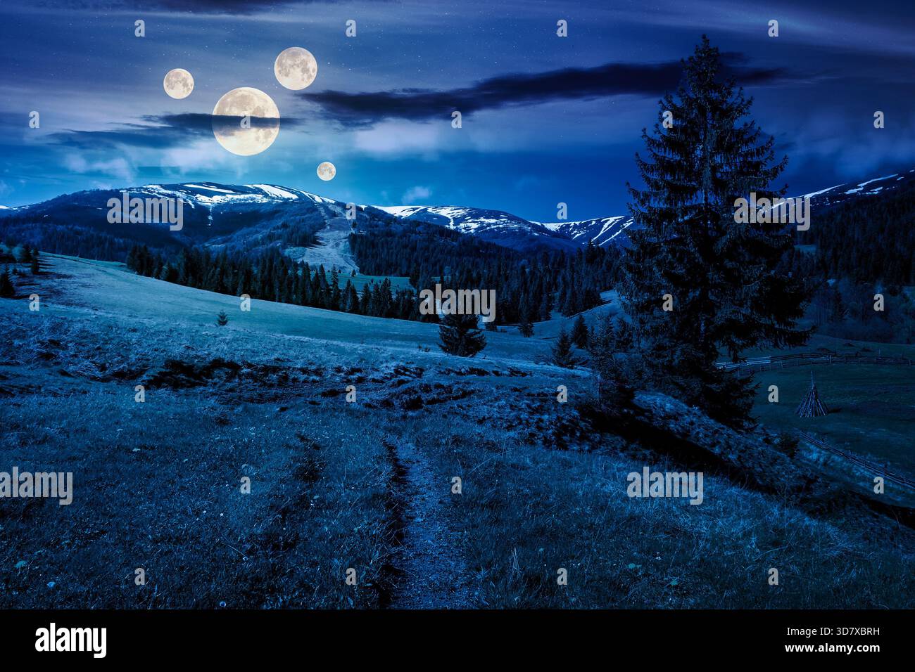 beautiful spring weather in mountains at night. spruce trees on a grassy meadow in full moon light. distant mountain ridge with snowy tops. backdrop f Stock Photo