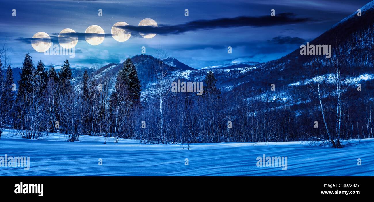 beautiful panorama of mountains in winter at night. leafless birch trees on snow covered meadow in full moon light. wonderful landscape in cold season Stock Photo