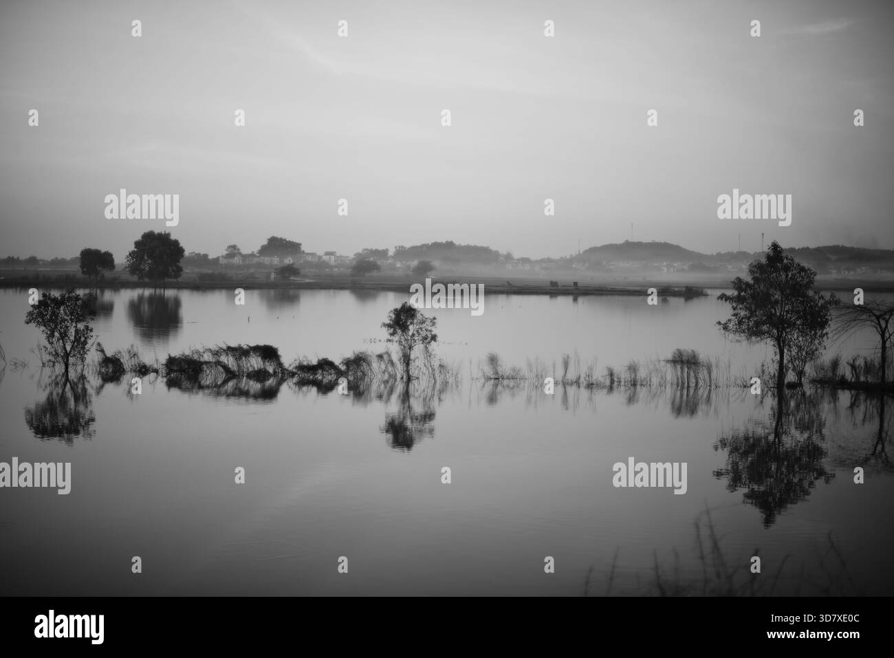 Black and white image of lake hi-res stock photography and images - Alamy