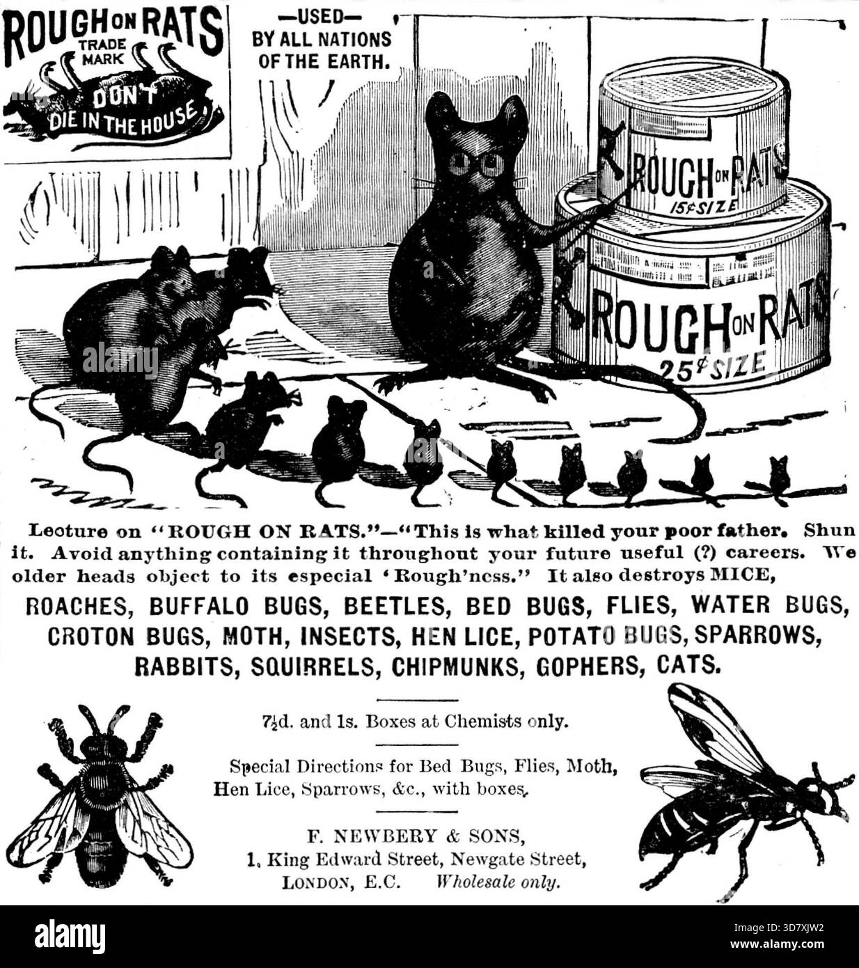 Killed insects Black and White Stock Photos & Images - Alamy