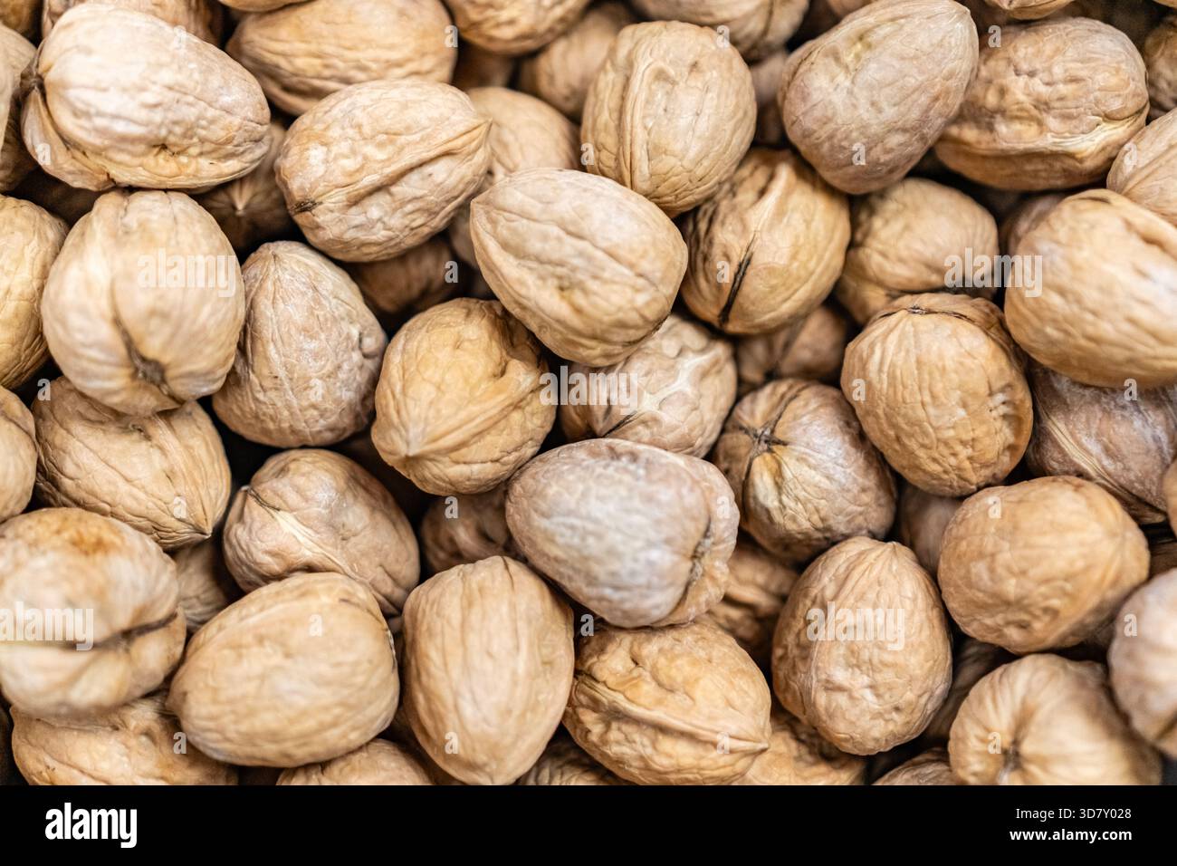 Close-up of walnuts - walnut background with selective focus. Stock Photo