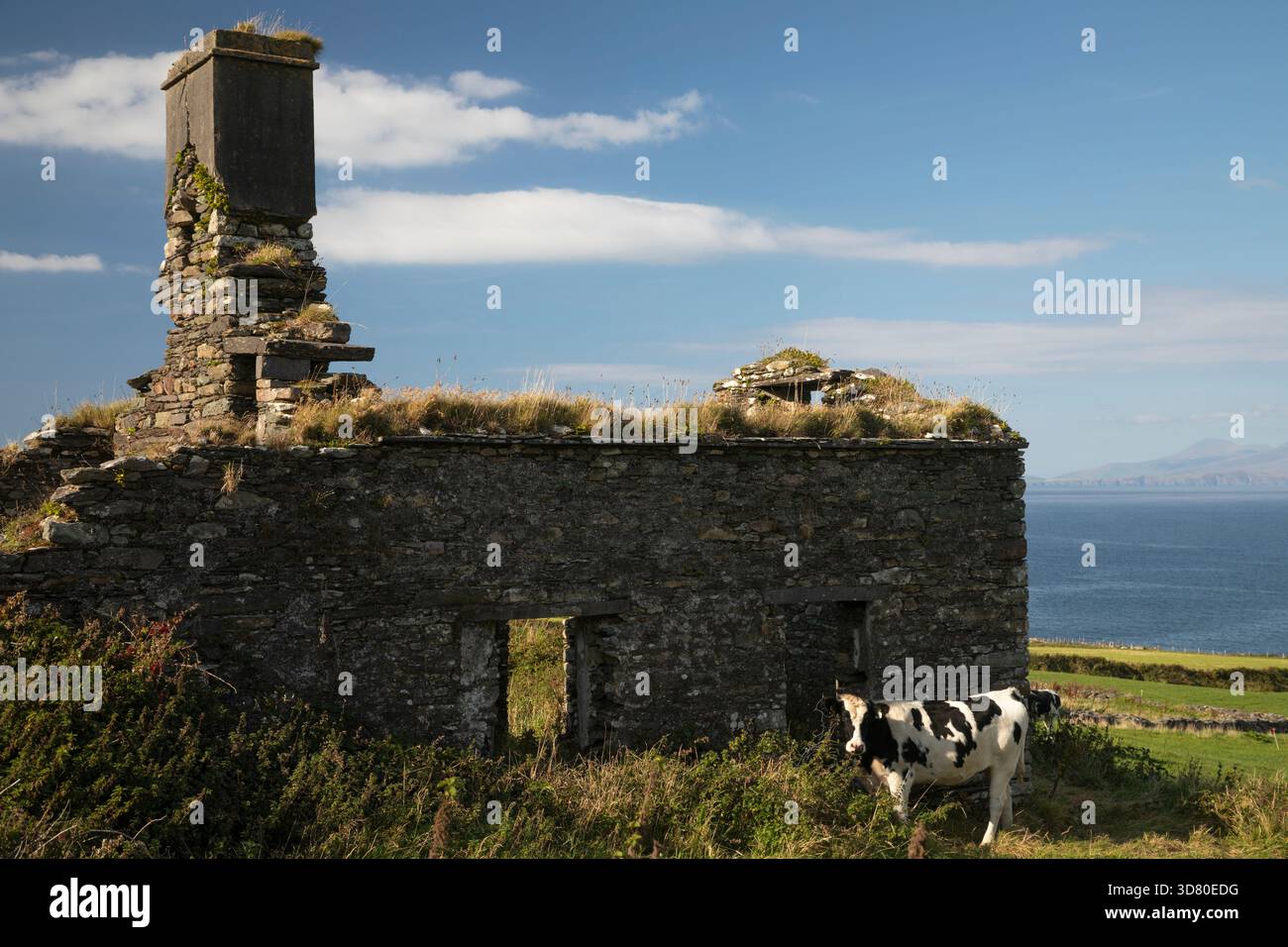 Stone cottage ruin on Valentia island on the Skellig ring in County Kerry in the Munster region of Ireland Stock Photo