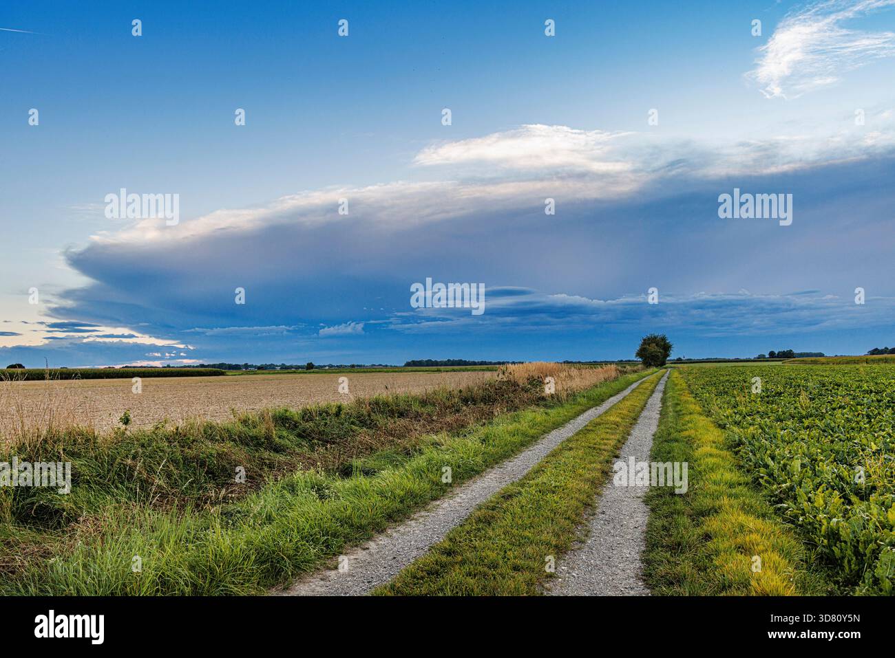 thunderstorm approaching over fields, Germany, Bavaria, Erdinger Moos Stock Photo