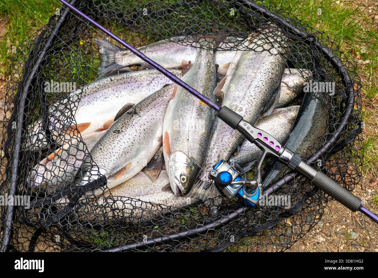 fish eyes rod and reel Okuma Dead Eye Classic A - Spinning Combo, DECS-661MLFT-2500 This process blends unidirectional fiber over 24 Fish eye trout eye hi-res