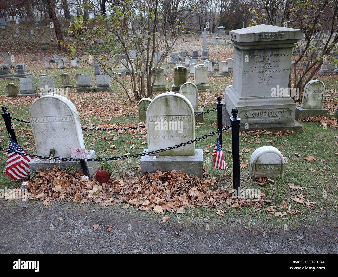 How Susan B. Anthony became a pro-life heroine, image size:1300x1066