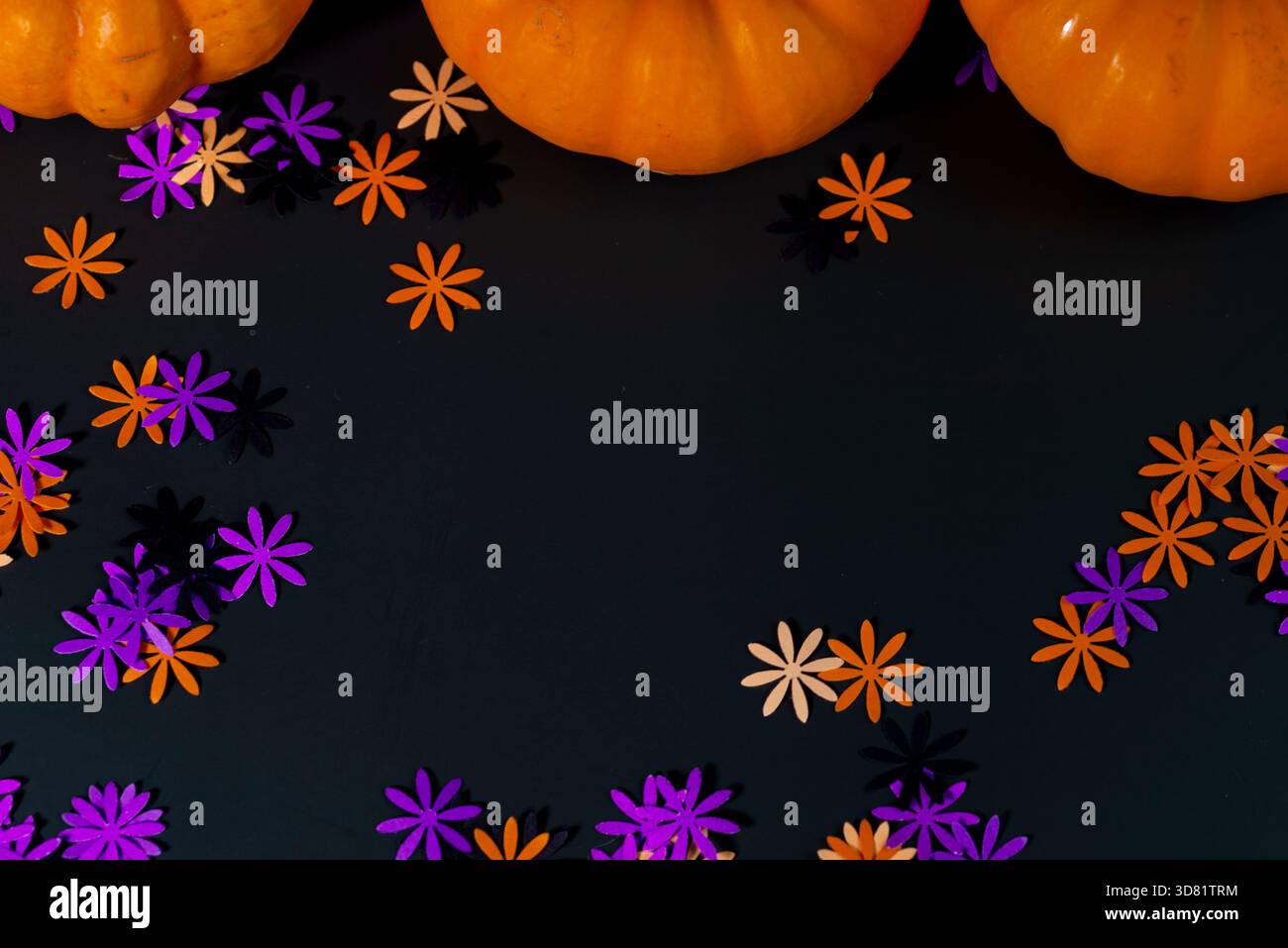 Halloween decoration on a black background Stock Photo