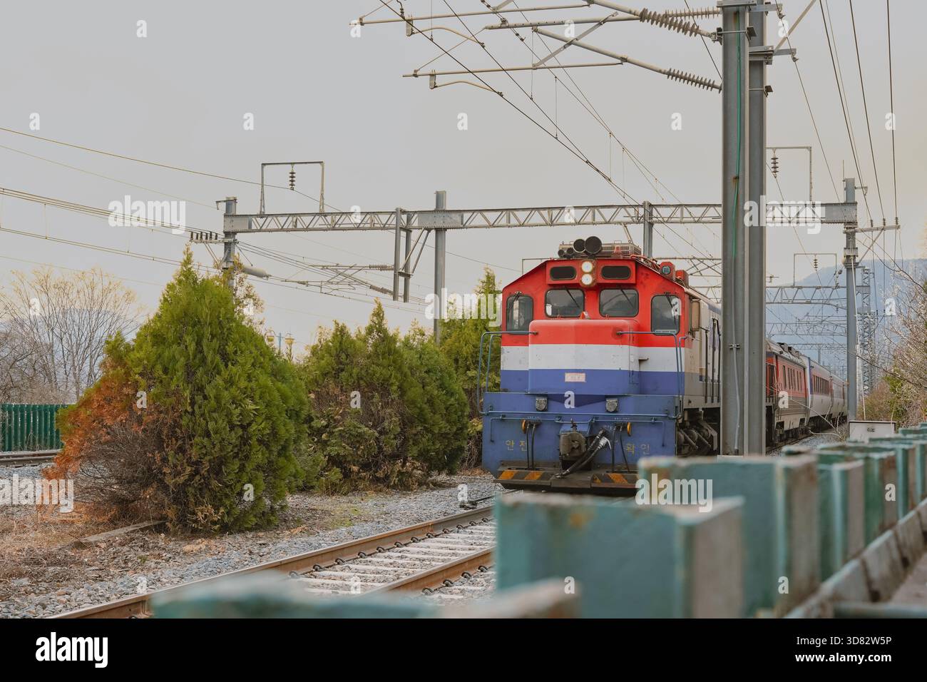 Korean Diesel Locomotive Entering the Track under Power Lines and Green ...