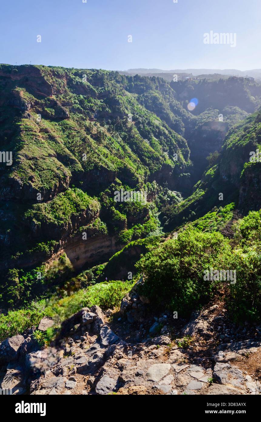 Dramatic view of a green ravine in Anaga Rural Park in Tenerife with ...