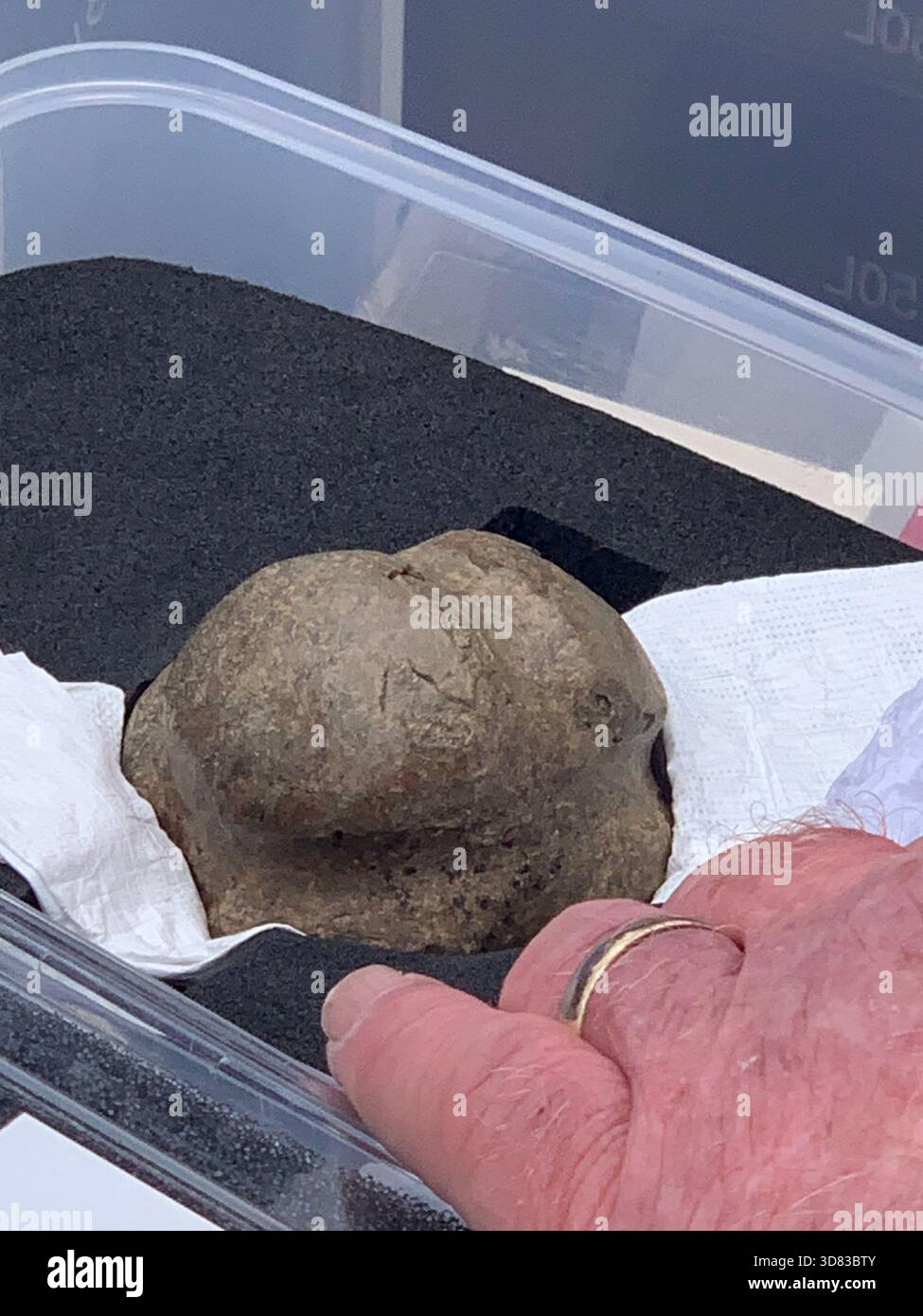 Extraordinary discovery Orkney Neolithic find ground penetrating radar Ring of Brodgar Archaeologist  Ness of Brodgar Scanning equipment found find - Smartphone Captured Stock Image