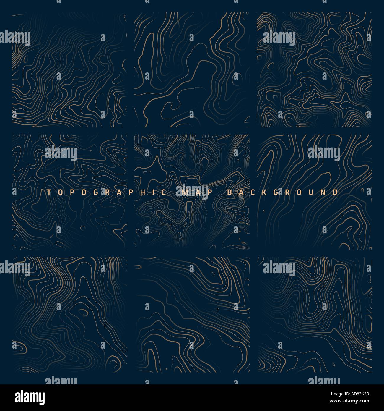 Equirectangular Map Topographic Colorful topographic maps with contour lines. Geographic terrain grid ...