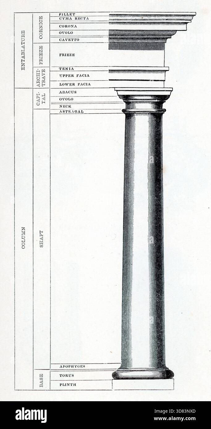 A classical column diagram shows labelled architectural parts ...