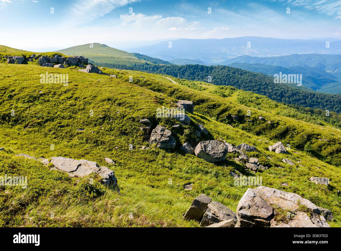 green alpine meadows in carpathian mountains of ukraine in summer. stones on grassy hills. popular travel destination for photo on a sunny morning. be Stock Photo