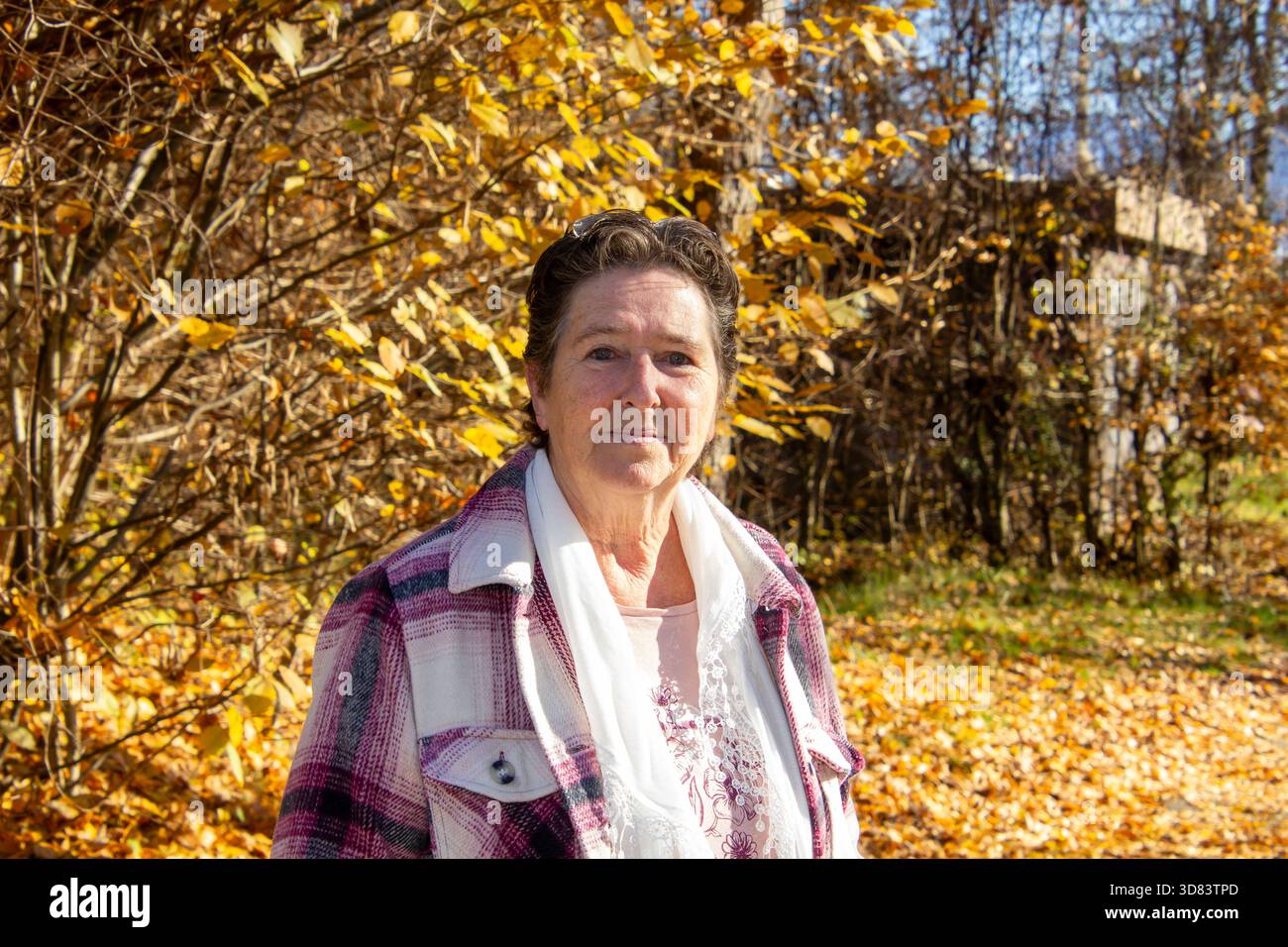 Close up face elderly senior hi-res stock photography and images - Alamy
