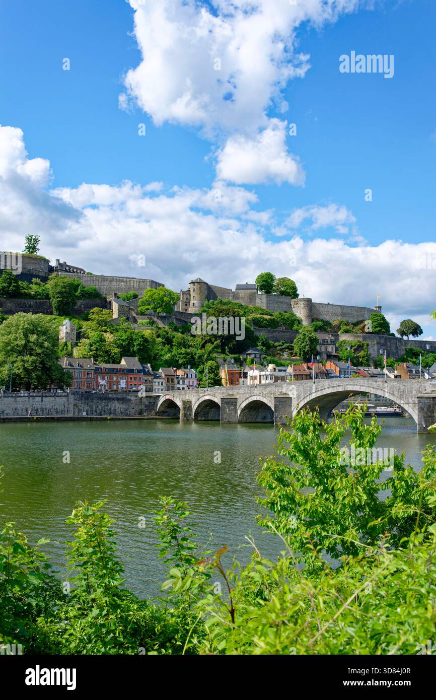 Belgium Wallonia Namur Province Namur Jambes Bridge River Meuse Belgium Wallonia Namur Province Namur Jambes Bridge River Meuse