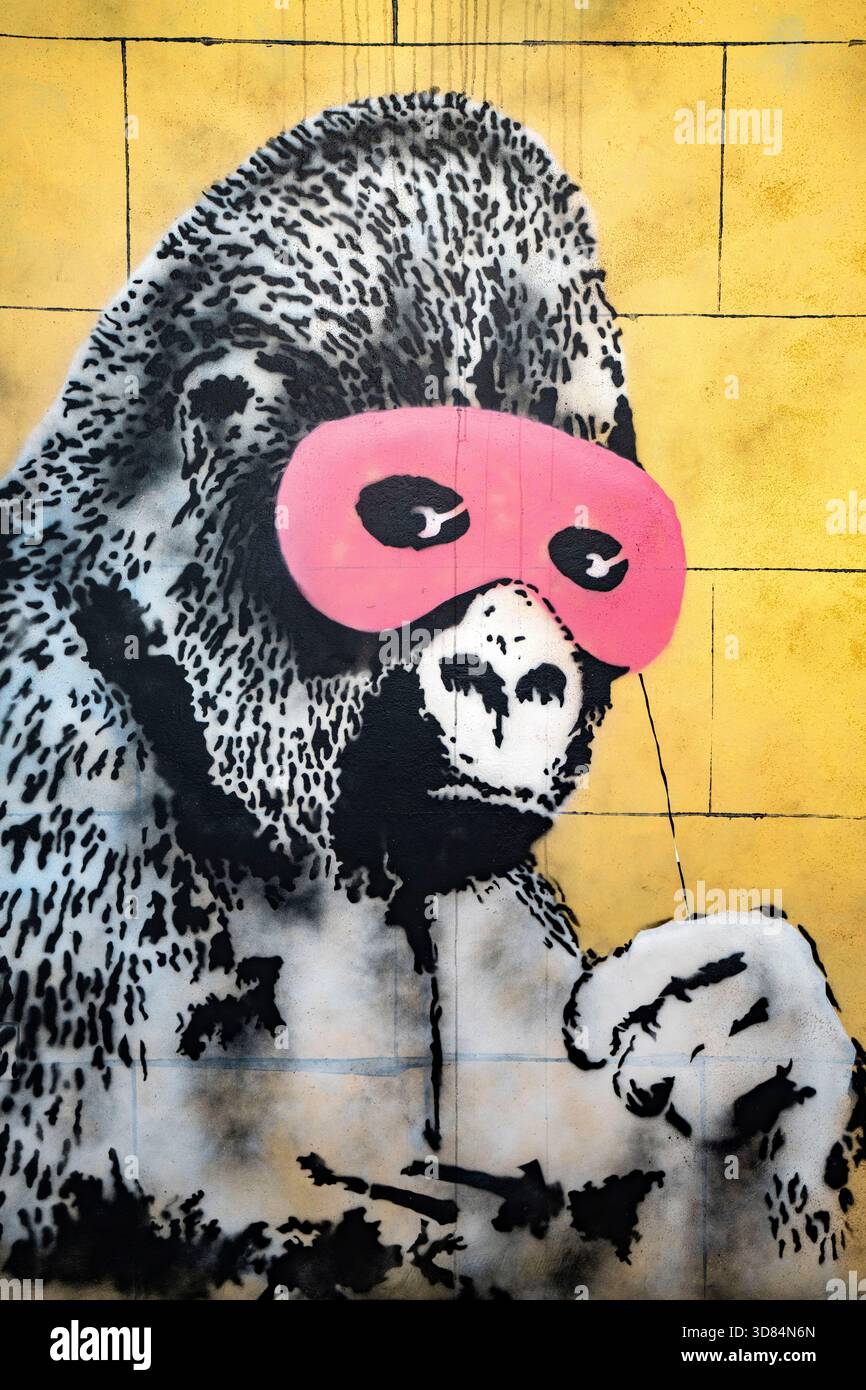 Gorilla in a pink mask hi-res stock photography and images - Alamy