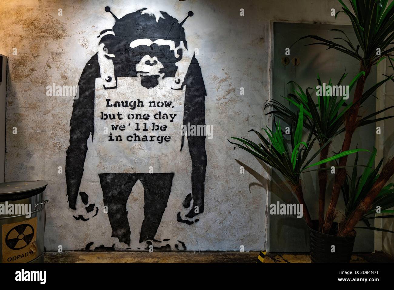 Poster Banksy Scimmia Laugh Now 42x59 Cm – Regalo Pronto In Tubo Bianco - 2