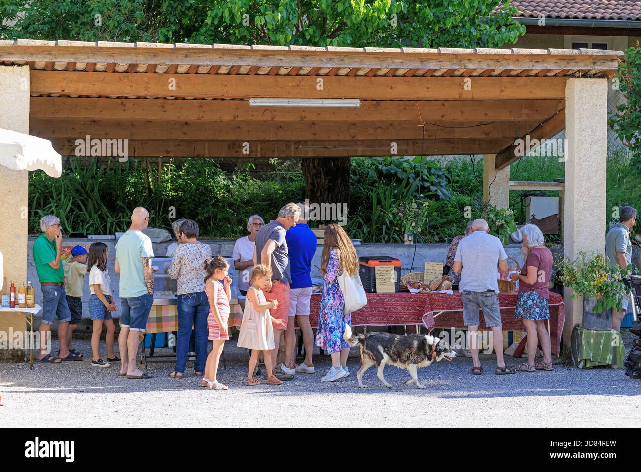 France, Drome, Jabron Valley, Montfroc, cafe bookstore Stock Photo