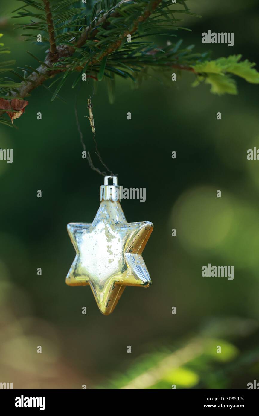 A silver star hanging from a tree branch Stock Photo