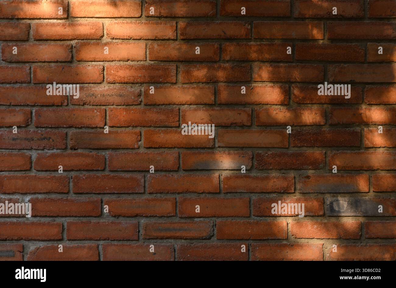 Intricate shadow pattern from branches projected onto red brick wall ...