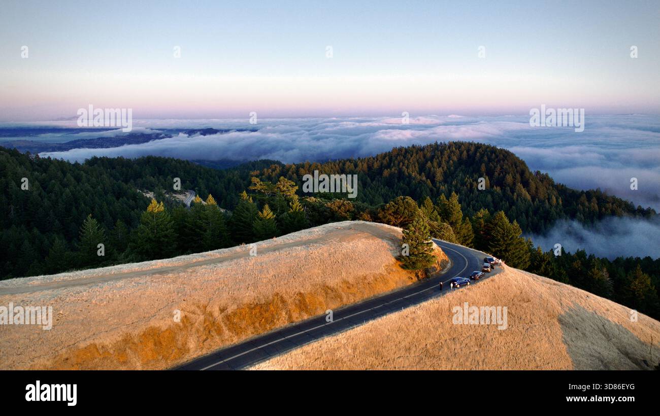 Aerial view of a winding road cutting through golden hills, with lush ...