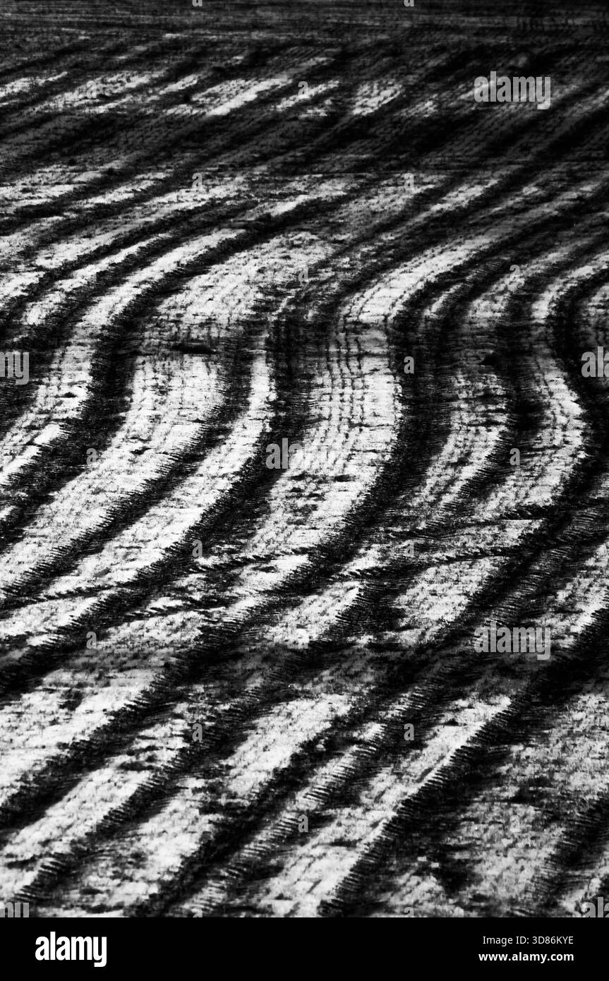 Modern minimal line art Black and White Stock Photos & Images - Alamy