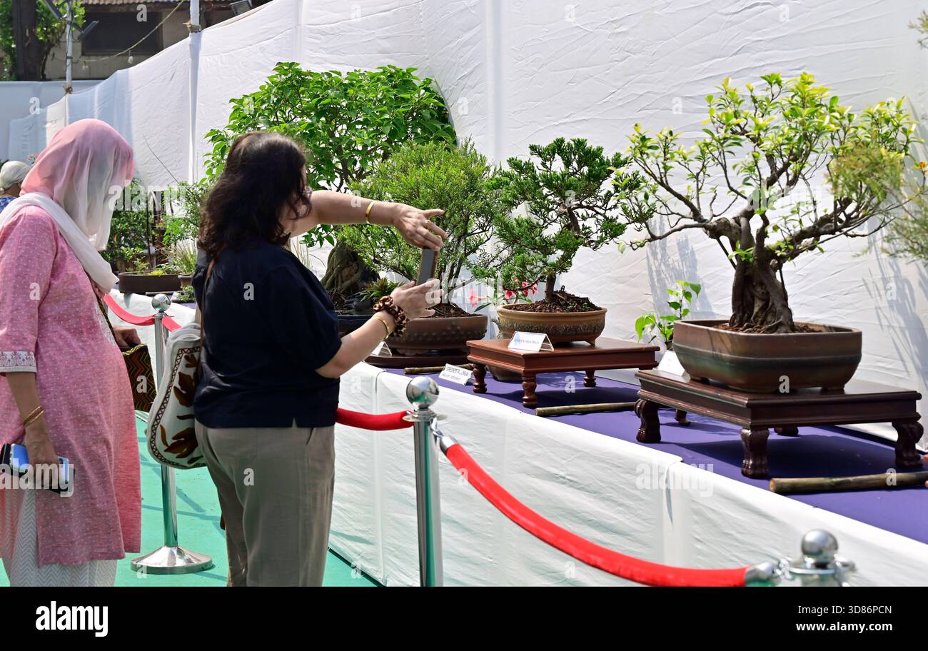 MUMBAI, INDIA - NOVEMBER 28: Visitors gather at the Yokoso Japan in ...