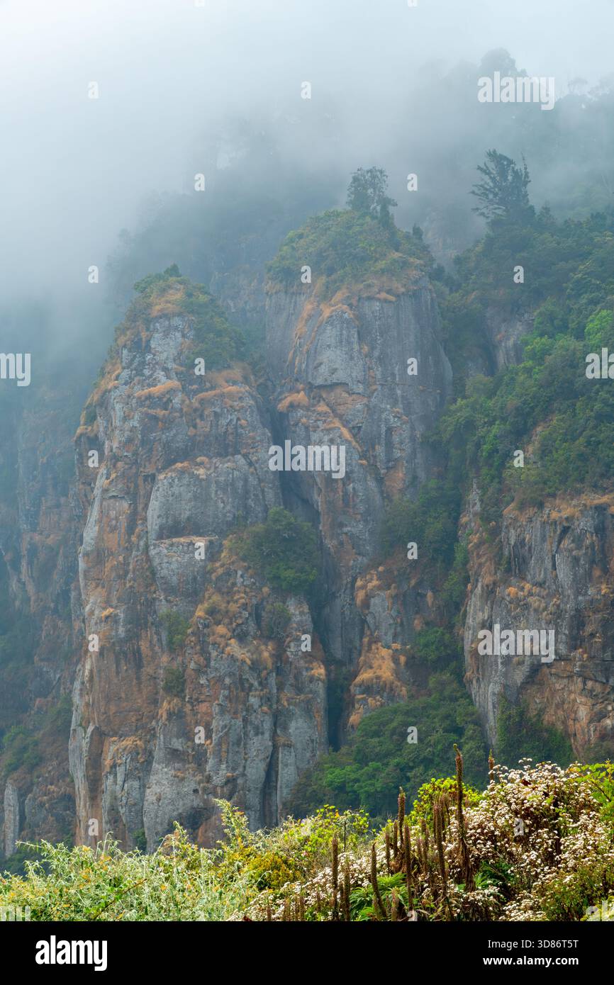 Pillar Rocks scenic Pillar rocks in fog at Kodaikanal, ,Kerala,india Stock Photo - Alamy